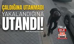 Çaldığına Utanmadı, Yakalandığına Utandı!