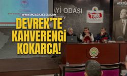 Devrek’te Kahverengi Kokarca…!