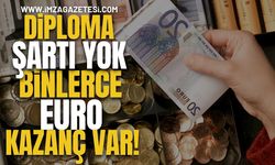 Diploma Şartı Yok, Binlerce Euro Kazanç Var!