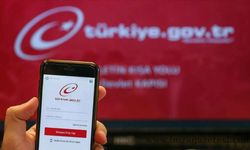 e-Devlet’e Neden Giremiyorum? Açılmıyor Hatası 2025 Kasım