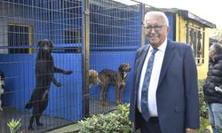 Ereğli Belediyesi, Sokak Hayvanları Barınma Evi’nin Kapasitesini Artırıyor