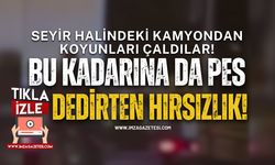 Bu Kadarı da Pes Dedirtti! Seyir Halindeyken Koyunları Çaldılar!