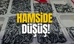 Zonguldak'ta hamside düşüş! Tezgahlarda yoğun ilgi!