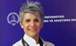 Bülent Ecevit Üniversitesi doktoru ölümden döndü!