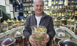 Ihlamurun Kilosu 2000 TL; Kış Gelmeden Fiyatlar Cep Yakıyor