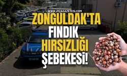 Zonguldak'ta Fındık Hırsızlığı Şebekesi!
