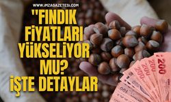 Fındık Fiyatları Yükseliyor Mu? İşte Detaylar...