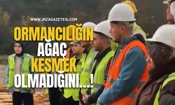 Ormancılığın Ağaç Kesmek Olmadığını…!