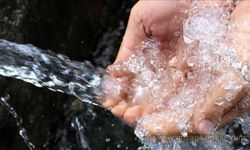 Kuduz Hastası İnsan Sudan Neden Korkar? Sebebi nedir?