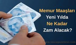 Memur Maaşları Yeni Yılda Ne Kadar Zam Alacak?
