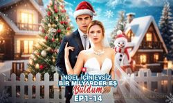 Noel İçin Evsiz Bir Milyarder Eş Buldum Türkçe Dublaj İzle