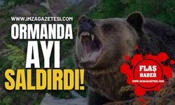 Ormanda Ayı Saldırısına Uğradı!