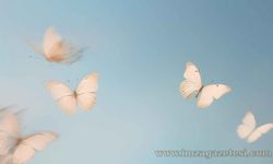 Saniye Durmaz Eşi Neden Öldü? Kimdir