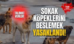 Sokak Köpeklerini Beslemek Yasaklandı!