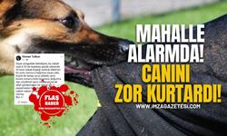 Mahalle alarmda! Osman Tutkun Saldırıda Yaralandı !