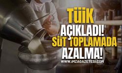 TÜİK Açıkladı! Süt Toplamada Azalma!