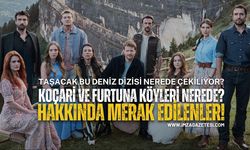 Taşacak Bu Deniz Dizisi Hakkında Merak Edilenler!