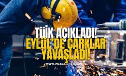 TÜİK açıkladı! Eylülde Çarklar Yavaşladı!