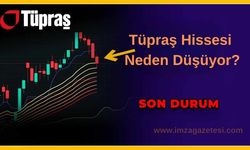 Tüpraş Hissesi Neden Düşüyor? 2025 Kasım