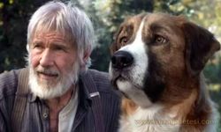 Vahşetin Çağrısı Köpek Gerçek mi?