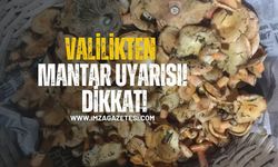 Valilikten mantar uyarısı! "Hayati sonuçlar doğurabilir!"