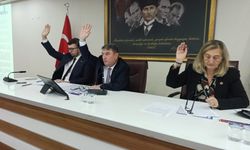 ZONBEL’de sermaye artışı!