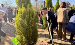 AK Parti Zonguldak Merkez İlçe Teşkilatı’ndan Fidan Dikim Etkinliği