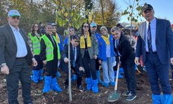 Yeşil Vatan Seferberliği Kapsamında Kdz. Ereğli’de Fidanlar Toprakla Buluştu