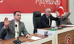 Yol Kenarındaki Tahta kulübe köy merkezine taşınıyor!