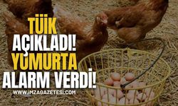 TÜİK Açıkladı! Yumurta Alarm Verdi!