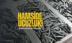 Hamsi Bolluğu Tezgahlara Yansıdı! Ucuzluk sürüyor!