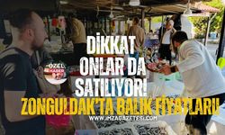 Dikkat Onlar da Satılıyor! Zonguldak’ta balık fiyatları!