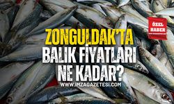 Zonguldak’ta balık fiyatları!