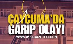 Zonguldak Çaycuma'da Garip Bir Olay! | Zonguldak haber