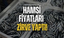 Hamsi Fiyatları Zirve Yaptı!