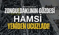 Zonguldaklının Gözdesi Hamsi Yeniden Ucuzladı!
