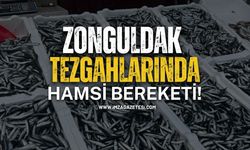 Zonguldak Tezgahlarında Hamsi Bereketi!