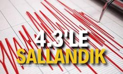 4.3'le Sallandık!