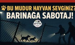 Belediyenin Barınağına Sabotaj!