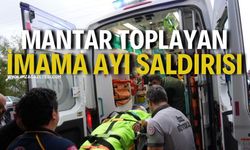 Mantar Toplayan İmama Ayı Saldırısı