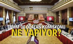 “TBMM’de Öcalan Komisyonu Ne Yapıyor? Paneli Zonguldak'ta düzenleniyor