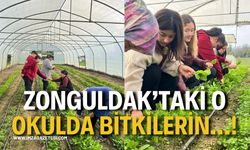 Zonguldak’taki O Okulda Bitkilerin…!