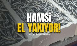 Hamsi el yakıyor!