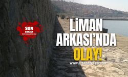 Zonguldak Liman Arkası'nda olay! Anne Gözyaşlarıyla Kurtardı!