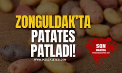 Zonguldak'ta patates patladı!