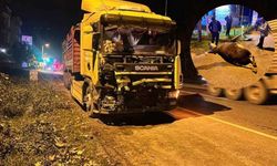 Zonguldak Yolunda Katliam Gibi Kaza