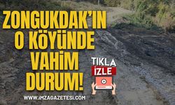 Zonguldak’ın O Köyünde Vahim Durum!