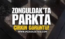 Zonguldak'ta Parkta Çirkin Görüntü! | Zonguldak haber