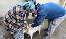 O İlçedeki O Hayvanlara…!