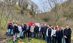 O İlçede Fındık Budama Uygulama Eğitimi!